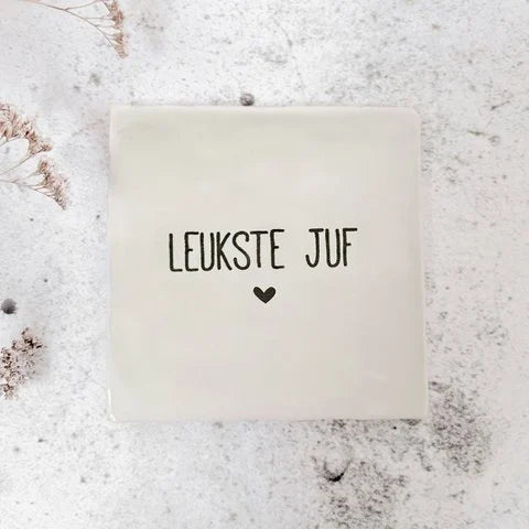 Tegeltje Meester of Juf