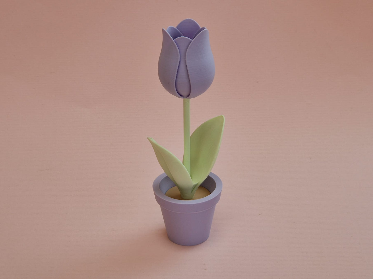 Tulp in bloempot